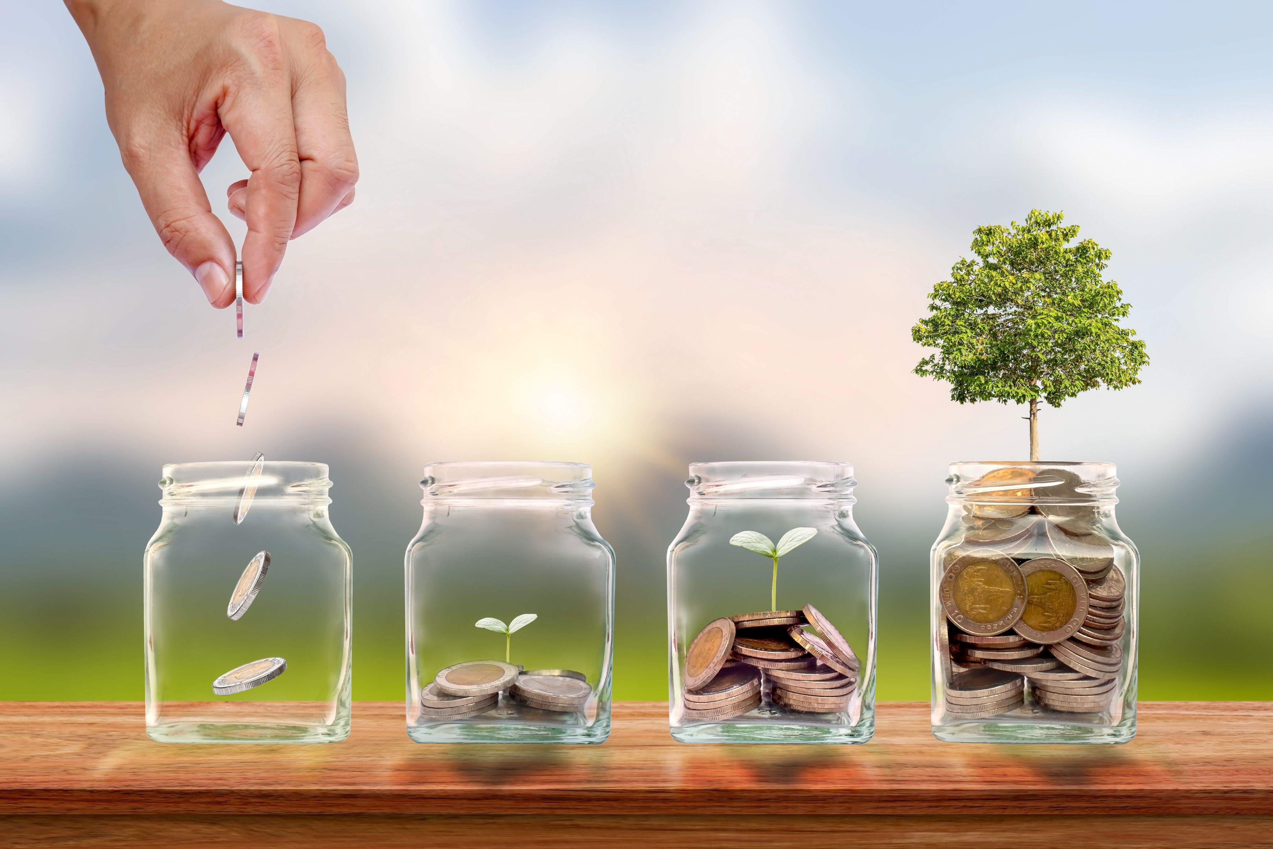 What are Mutual Funds?